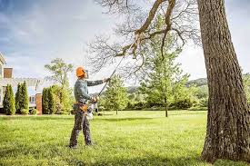 Best Arborist Consultation Services  in Governors Clu, NC